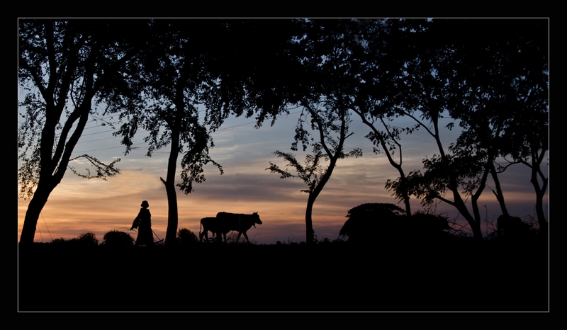 378 - GO BACK TO HOME - MONDAL NITAI - india.jpg